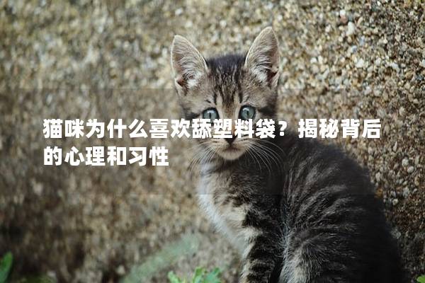 猫咪为什么喜欢舔塑料袋？揭秘背后的心理和习性