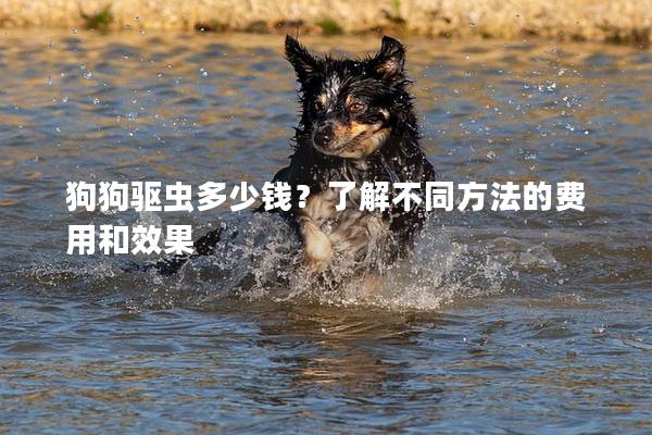 狗狗驱虫多少钱？了解不同方法的费用和效果
