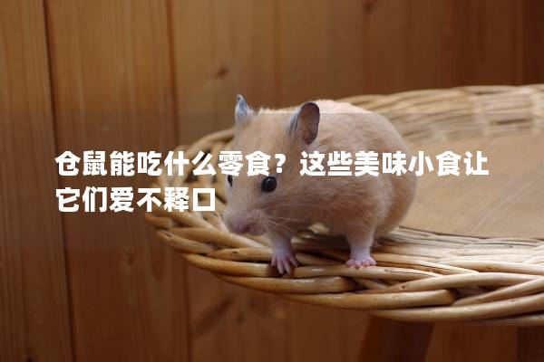 仓鼠能吃什么零食？这些美味小食让它们爱不释口
