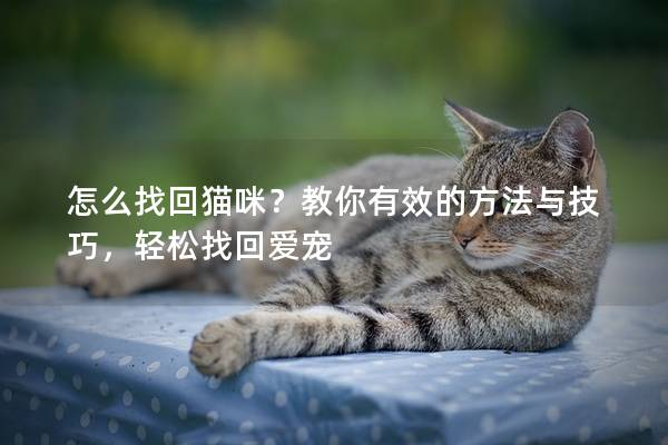 怎么找回猫咪？教你有效的方法与技巧，轻松找回爱宠