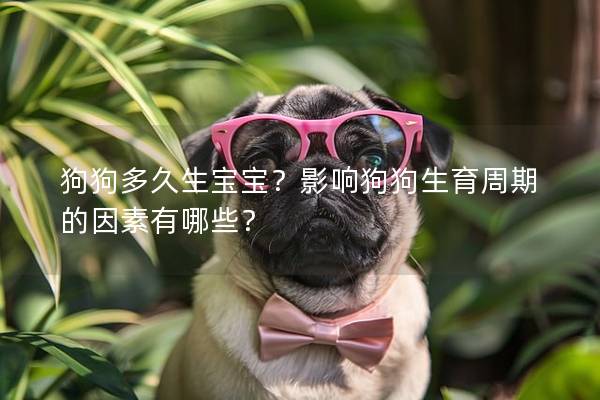 狗狗多久生宝宝？影响狗狗生育周期的因素有哪些？
