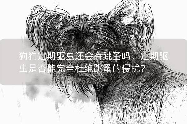 狗狗定期驱虫还会有跳蚤吗,定期驱虫是否能完全杜绝跳蚤的侵扰? 狗狗定期驱虫还会有跳蚤吗,定期驱虫是否能完全杜绝跳蚤的侵扰?