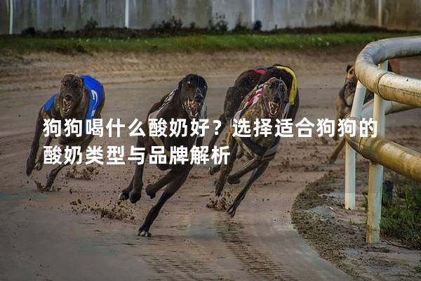 狗狗喝什么酸奶好？选择适合狗狗的酸奶类型与品牌解析