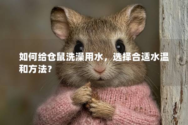如何给仓鼠洗澡用水，选择合适水温和方法？