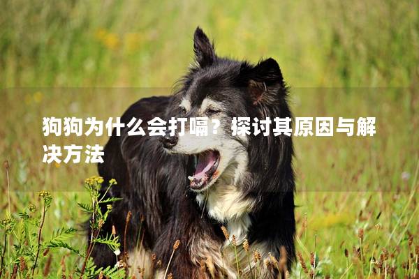 狗狗为什么会打嗝？探讨其原因与解决方法