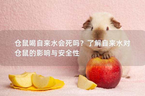 仓鼠喝自来水会死吗？了解自来水对仓鼠的影响与安全性