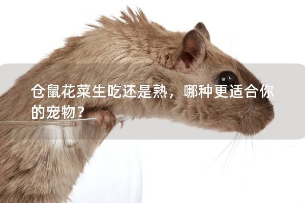 仓鼠花菜生吃还是熟，哪种更适合你的宠物？
