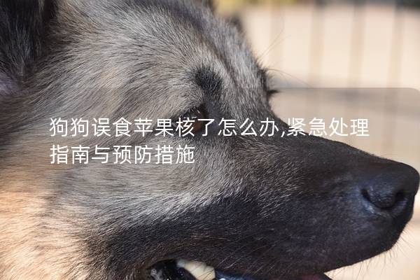 狗狗误食苹果核了怎么办,紧急处理指南与预防措施
