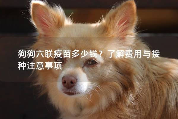 狗狗六联疫苗多少钱?了解费用与接种注意事项 狗狗六联疫苗多少钱?了解费用与接种注意事项