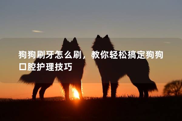 狗狗刷牙怎么刷，教你轻松搞定狗狗口腔护理技巧