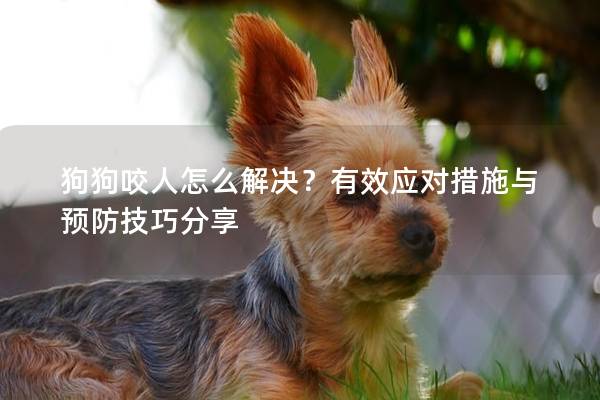 狗狗咬人怎么解决？有效应对措施与预防技巧分享