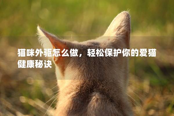 猫咪外驱怎么做，轻松保护你的爱猫健康秘诀