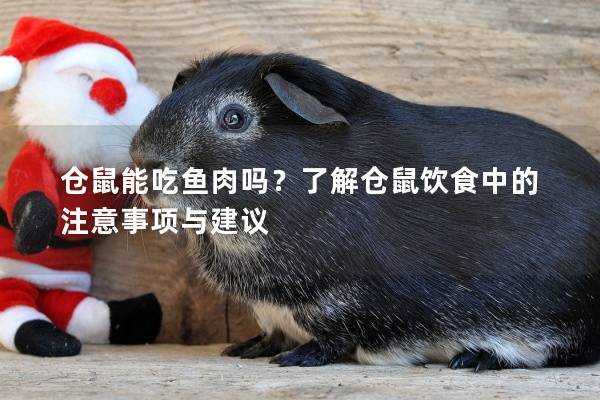 仓鼠能吃鱼肉吗？了解仓鼠饮食中的注意事项与建议