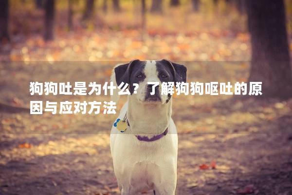 狗狗吐是为什么？了解狗狗呕吐的原因与应对方法