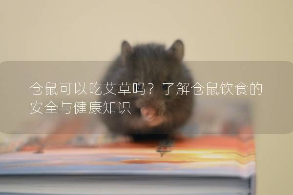 仓鼠可以吃艾草吗？了解仓鼠饮食的安全与健康知识