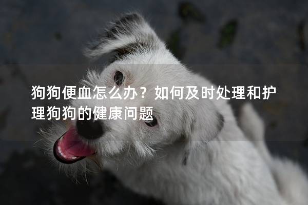 狗狗便血怎么办?如何及时处理和护理狗狗的健康问题 狗狗便血怎么办?如何及时处理和护理狗狗的健康问题