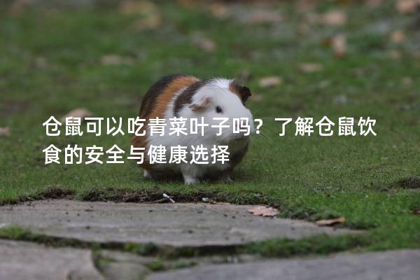 仓鼠可以吃青菜叶子吗？了解仓鼠饮食的安全与健康选择