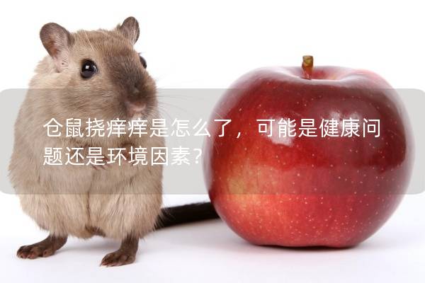 仓鼠挠痒痒是怎么了，可能是健康问题还是环境因素？