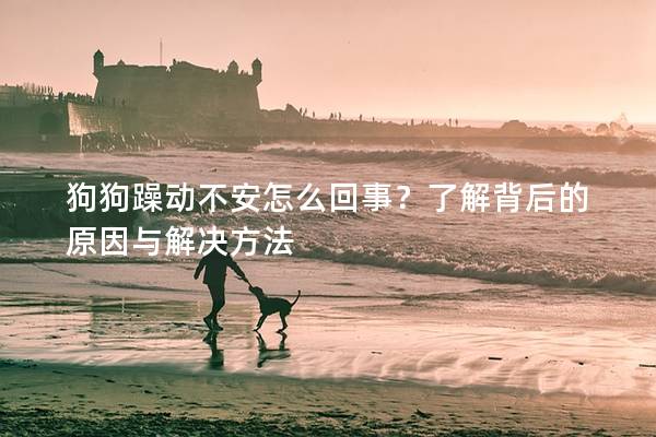 狗狗躁动不安怎么回事？了解背后的原因与解决方法