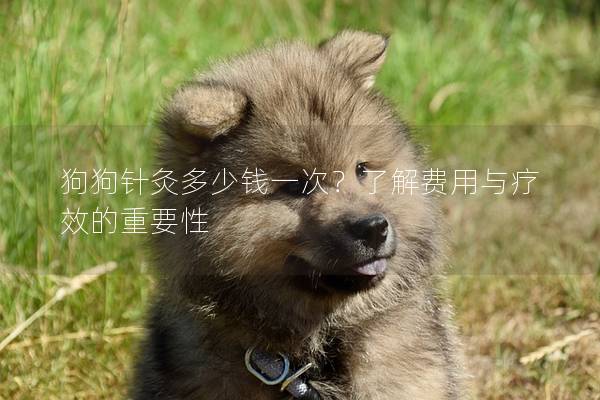 狗狗针灸多少钱一次?了解费用与疗效的重要性 狗狗针灸多少钱一次?了解费用与疗效的重要性