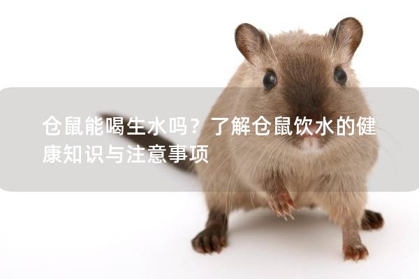 仓鼠能喝生水吗？了解仓鼠饮水的健康知识与注意事项