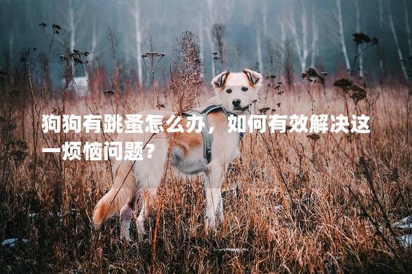 狗狗有跳蚤怎么办，如何有效解决这一烦恼问题？