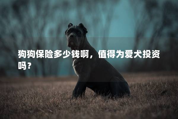 狗狗保险多少钱啊，值得为爱犬投资吗？