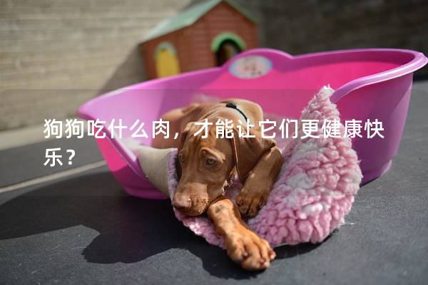 狗狗吃什么肉，才能让它们更健康快乐？