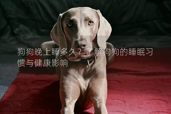 狗狗晚上睡多久？了解狗狗的睡眠习惯与健康影响