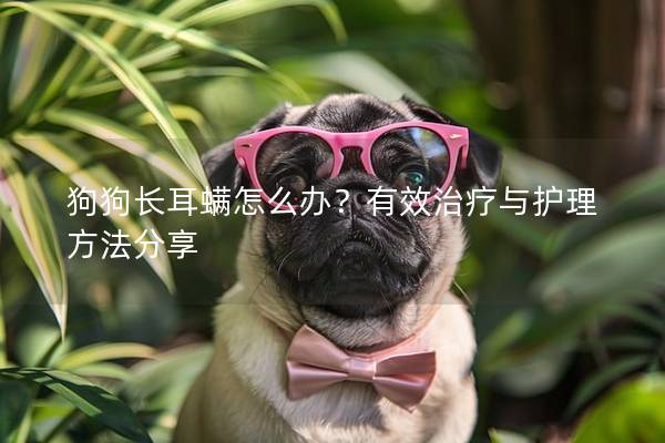狗狗长耳螨怎么办？有效治疗与护理方法分享