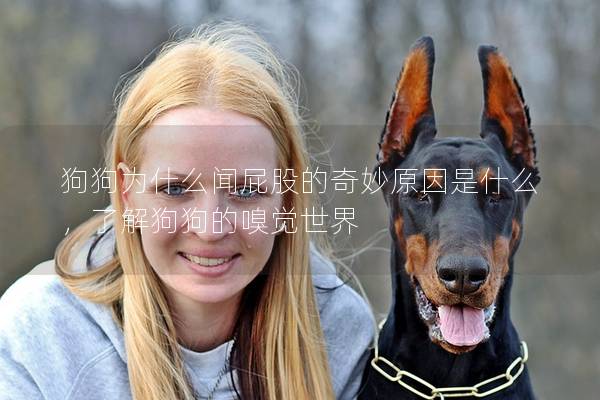 狗狗为什么闻屁股的奇妙原因是什么，了解狗狗的嗅觉世界