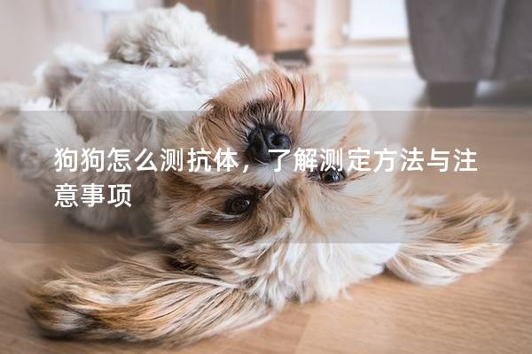 狗狗怎么测抗体，了解测定方法与注意事项