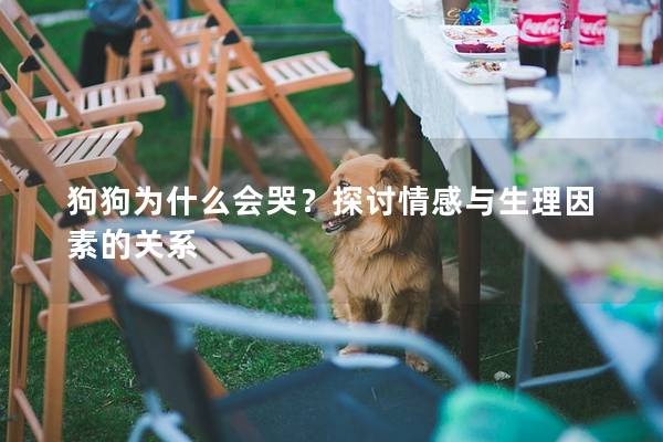 狗狗为什么会哭？探讨情感与生理因素的关系