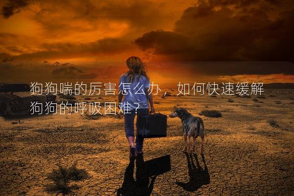 狗狗喘的厉害怎么办，如何快速缓解狗狗的呼吸困难？
