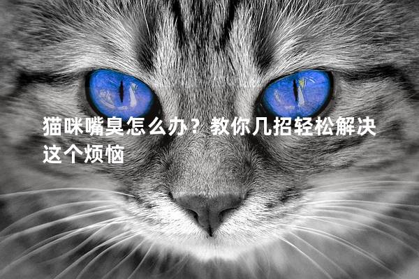 猫咪嘴臭怎么办？教你几招轻松解决这个烦恼