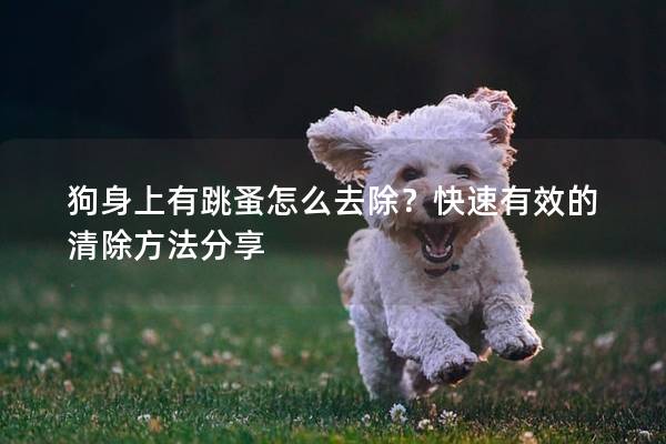 狗身上有跳蚤怎么去除?快速有效的清除方法分享 狗身上有跳蚤怎么去除?快速有效的清除方法分享