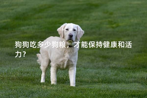 狗狗吃多少狗粮，才能保持健康和活力？