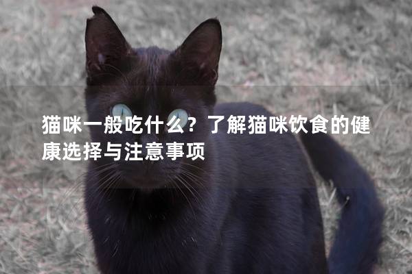 猫咪一般吃什么?了解猫咪饮食的健康选择与注意事项 猫咪一般吃什么?了解猫咪饮食的健康选择与注意事项
