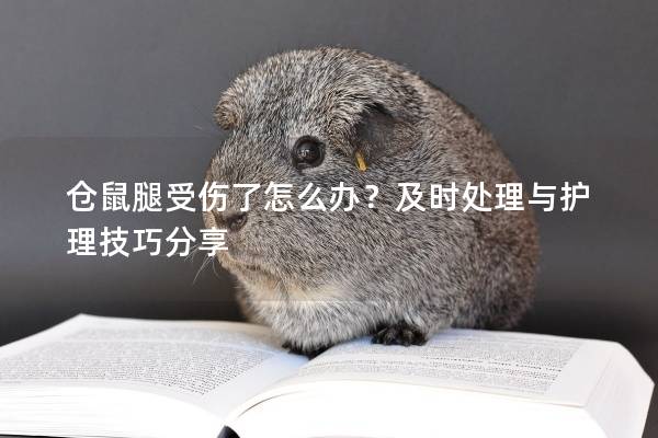 仓鼠腿受伤了怎么办？及时处理与护理技巧分享