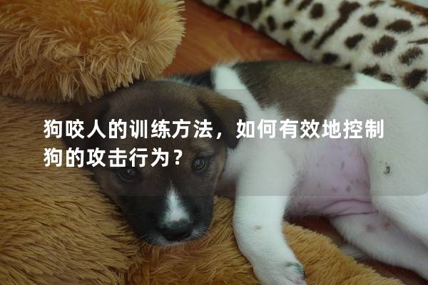 狗咬人的训练方法，如何有效地控制狗的攻击行为？