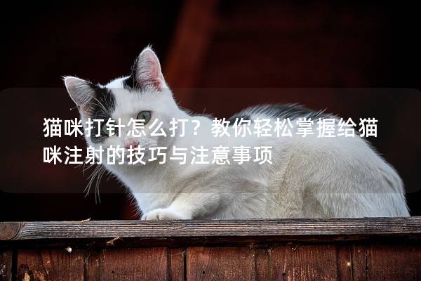 猫咪打针怎么打？教你轻松掌握给猫咪注射的技巧与注意事项
