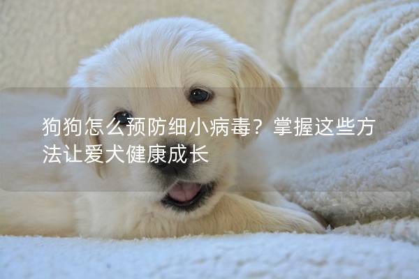 狗狗怎么预防细小病毒？掌握这些方法让爱犬健康成长