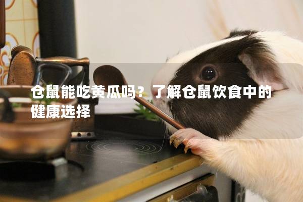 仓鼠能吃黄瓜吗？了解仓鼠饮食中的健康选择