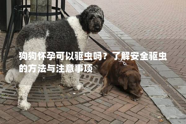 狗狗怀孕可以驱虫吗?了解安全驱虫的方法与注意事项 狗狗怀孕可以驱虫吗?了解安全驱虫的方法与注意事项