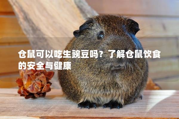 仓鼠可以吃生豌豆吗？了解仓鼠饮食的安全与健康