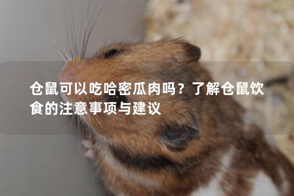 仓鼠可以吃哈密瓜肉吗?了解仓鼠饮食的注意事项与建议 仓鼠可以吃哈密瓜肉吗?了解仓鼠饮食的注意事项与建议