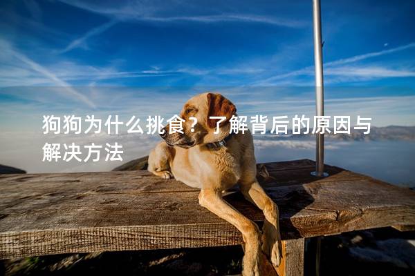 狗狗为什么挑食？了解背后的原因与解决方法