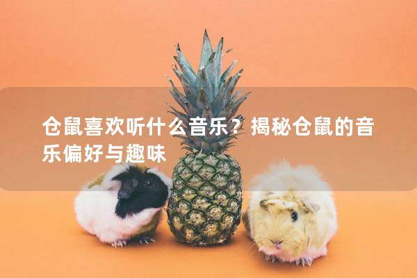 仓鼠喜欢听什么音乐？揭秘仓鼠的音乐偏好与趣味