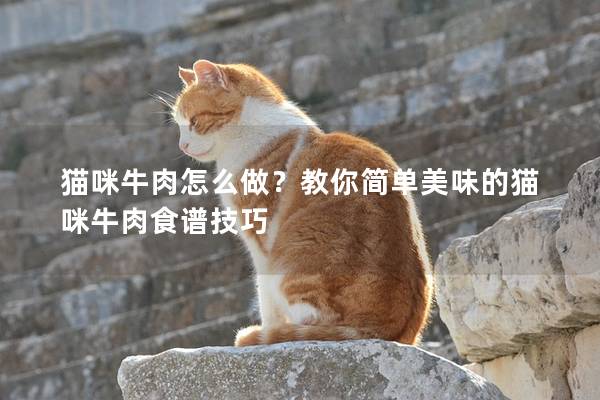 猫咪牛肉怎么做？教你简单美味的猫咪牛肉食谱技巧