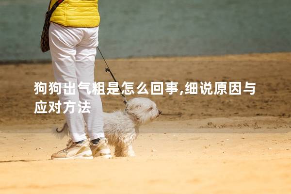 狗狗出气粗是怎么回事,细说原因与应对方法